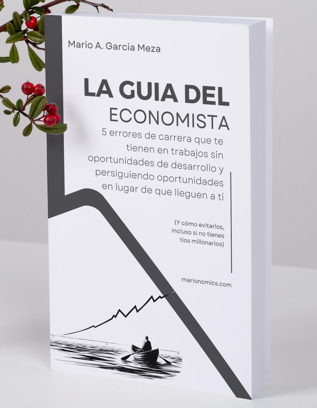 Libro: La guia del Economista